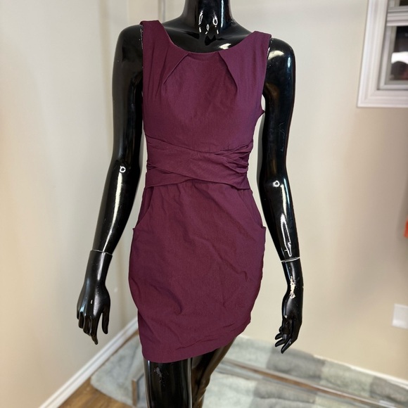 Eclipse Dresses & Skirts - Eclipse Deep Plum Ruched Mini Dress - Holiday Party Cocktail Attire